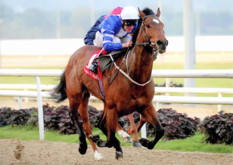 Final Recovery Dundalk 29th April 2011